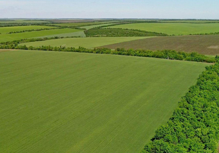 Об условиях налогообложения земельных участков