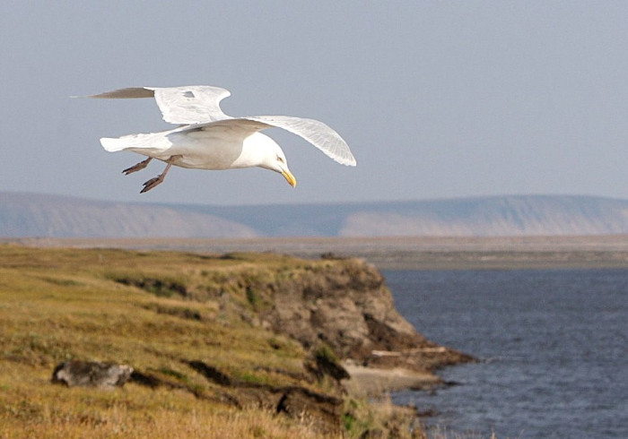 Зачем нужно приостанавливать курортный сбор?