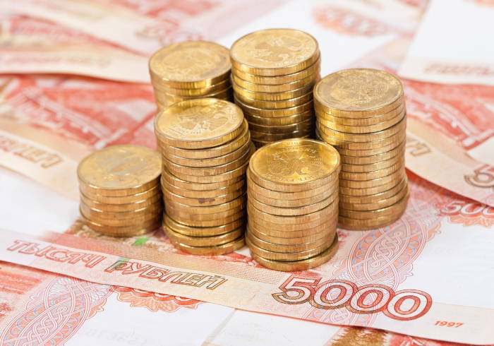 ФНС России начала выплаты субсидий и налоговых бонусов самозанятым