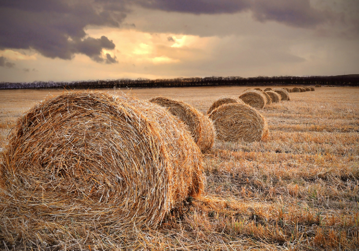 Есть долг – нет земельного участка