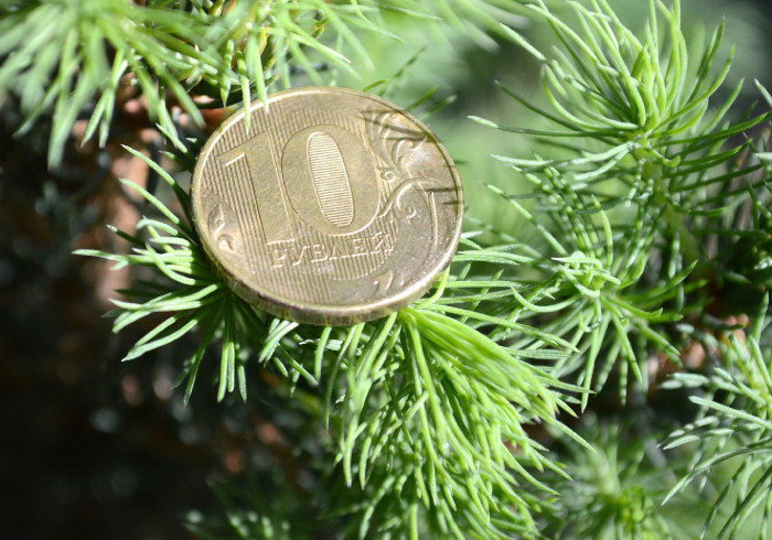 Всё о кредитных каникулах