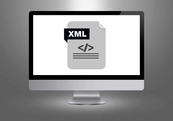 Фнс xml формат