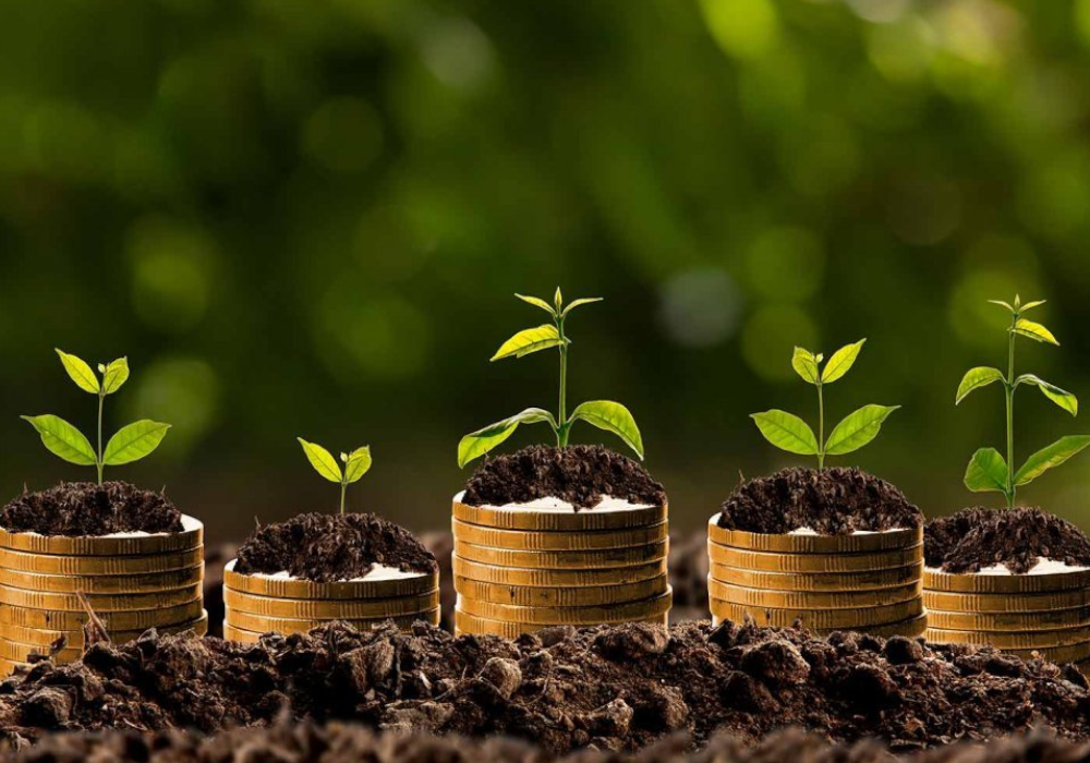 Что такое земельный налог? 