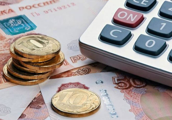 В Калмыкии пострадавший бизнес получил более 42 млн рублей субсидий