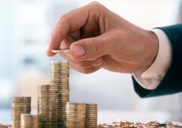 О правилах предоставления субсидий из федерального бюджета