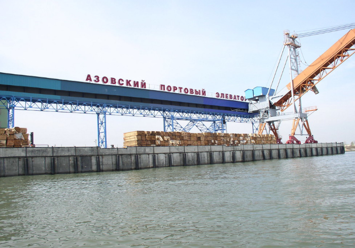 «Город N»: ФНС банкротит Азовский портовый элеватор