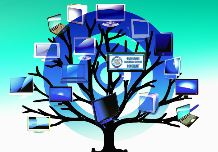 На переднем плане – развитие системы налогового администрирования