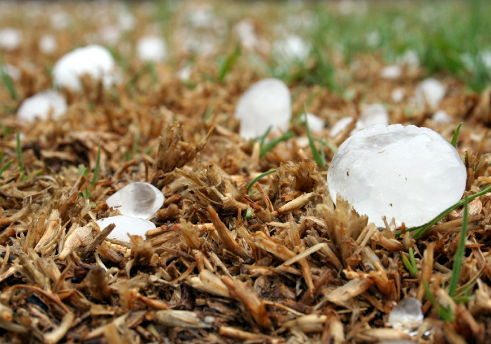 Помощь пострадавшим – без НДФЛ