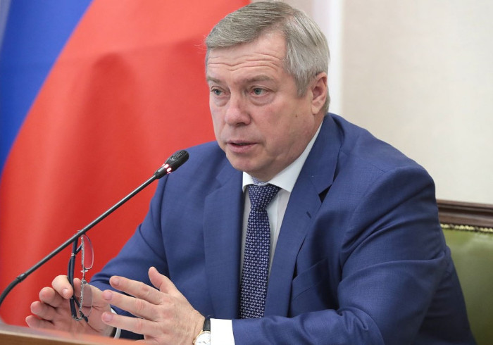 Донской губернатор предложил распространить поддержку МСП на самозанятых