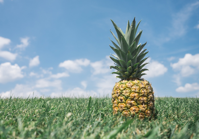 Аграриям – уплата налога по месту дохода?