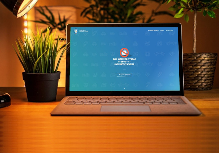 Внедрён специальный сервис для выплаты субсидий малому и среднему бизнесу
