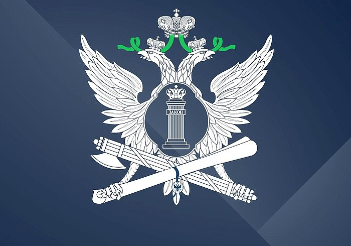 Государственная служба нового вида