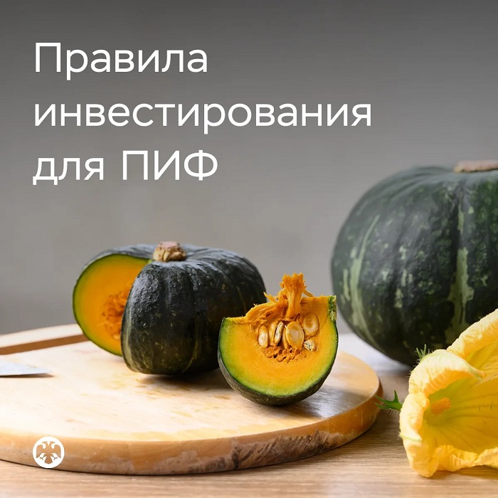 2026-09-29_Установлены_новые_правила_инвестирования_для_ПИФ_02.jpg