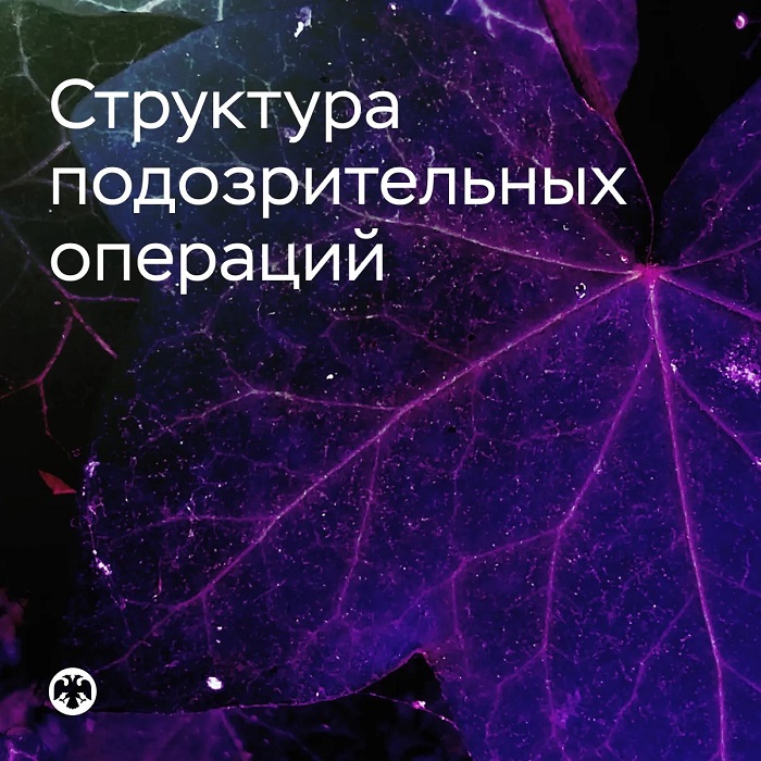 2026-10-05_I_пол-2026_сократился_объём_подозрительных_денежных_операций_02.jpg