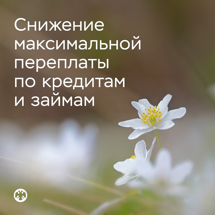 2026-04-01_С_1_апреля_снижается_максимальная_переплата_по_кредитам_и_займам_02.jpg