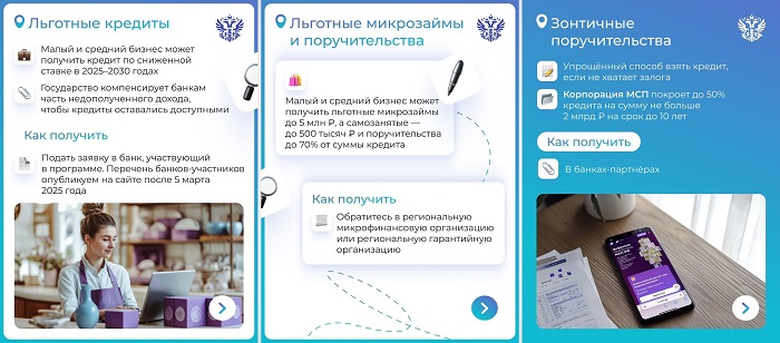2025-02-24_Льготная_микрофинан_и_гарантийн_поддержка_МСП_будет_продлена_02.jpg