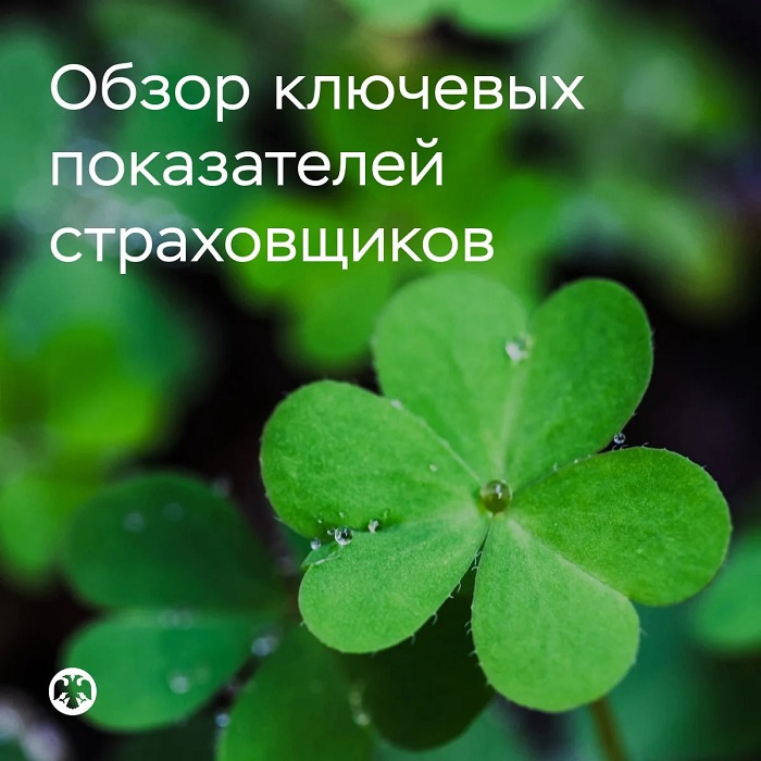 2026-08-25_I_пол-2026_страхование_жизни_стало_драйвером_роста_отрасли_02.jpg
