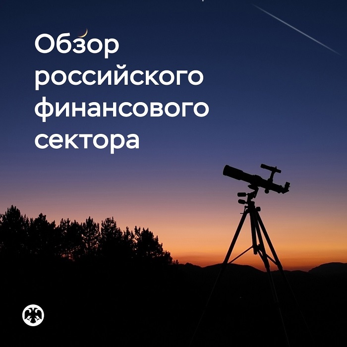 2025-04-19_Итоги-2024_замедлился_рост_активов_финансовых_организаций_02.jpg