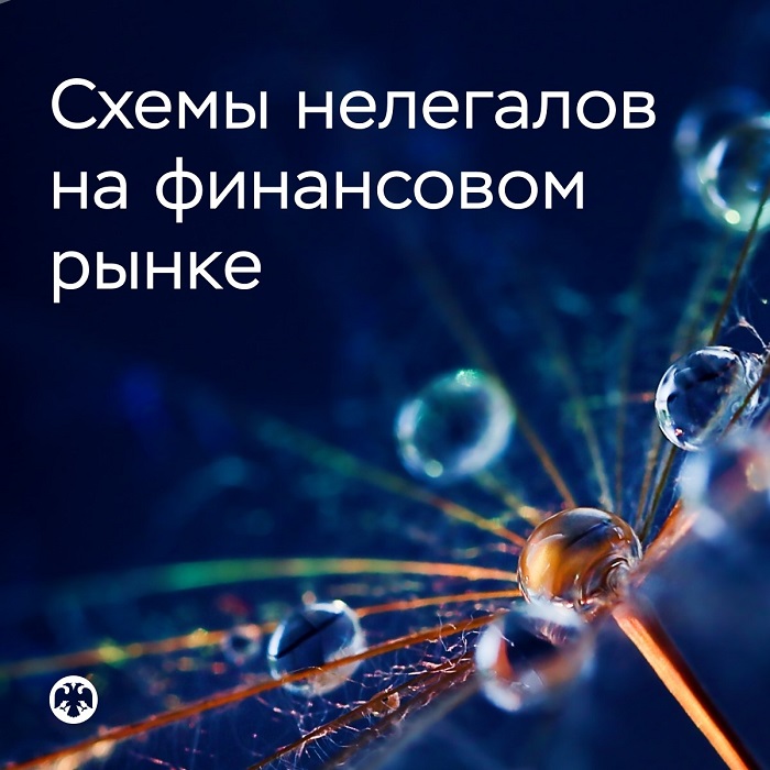2026-08-31_I_пол-2026_как_финансовые_нелегалы_обманывали_людей_02.jpg