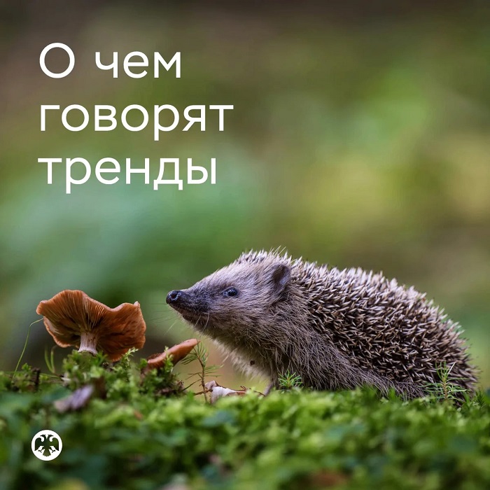 2026-09-10_II_кв-2026_рост_ВВП_оказался_выше_ожиданий_02.jpg