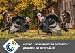 «Эконс | экономический разговор»: дайджест за август-2026