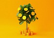 Установлены новые правила инвестирования для ПИФ